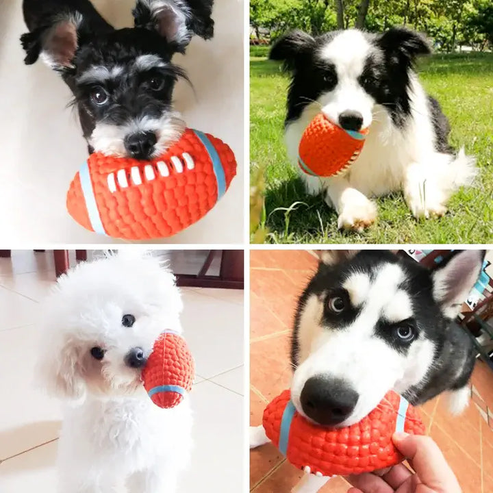 Différents chiens jouant avec un ballon de rugby, chacun tenant le jouet à mâcher dans la bouche