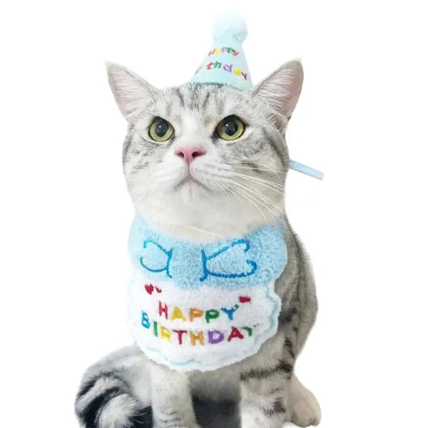 Chat portant un bavoir d'anniversaire coloré, idéal pour célébrer son jour spécial