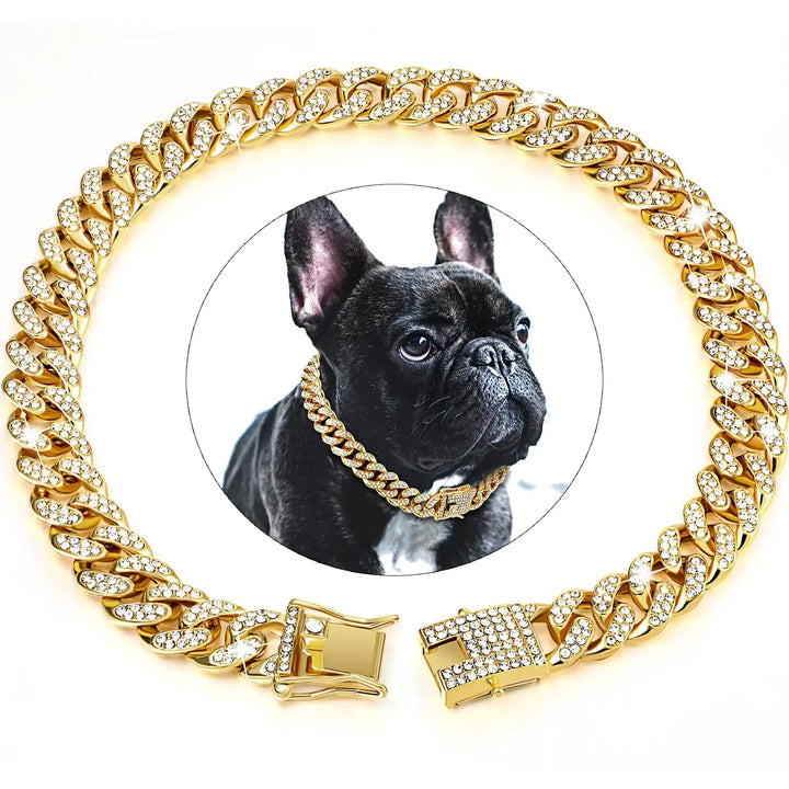 Bulldog portant un collier bijou couleur or - Élégance et luxe