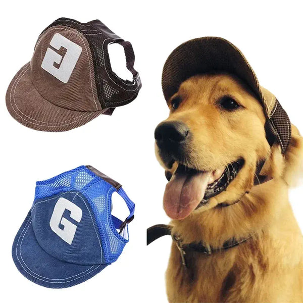 Casquettes d'été pour chien en marron et bleu avec un golden retriever portant une casquette