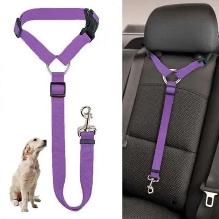 Ceinture de sécurité réglable pour chiens en voiture, assurant confort et sécurité pendant les trajets