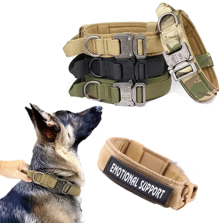 Collier militaire en nylon robuste pour chien avec boucle en métal et poignée