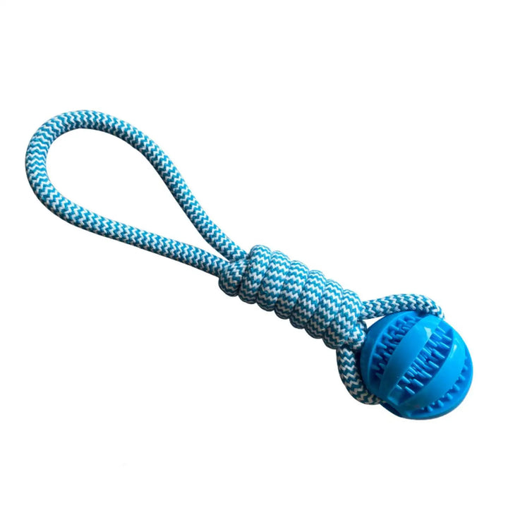 Jouet bleu corde et balle distributrice pour chiens, parfait pour l'activité physique et mentale