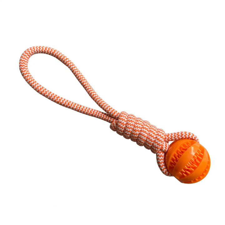 Jouet orange corde et balle distributrice pour chiens, parfait pour l'activité physique et mentale