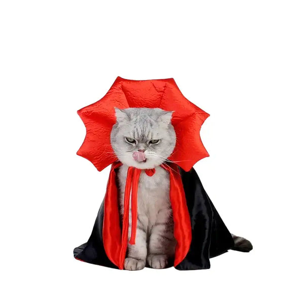 Cosplay de vampire pour chat, costume parfait pour Halloween