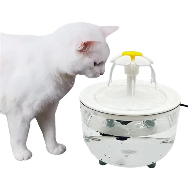 Chat buvant à une fontaine à eau automatique pour une hydratation saine