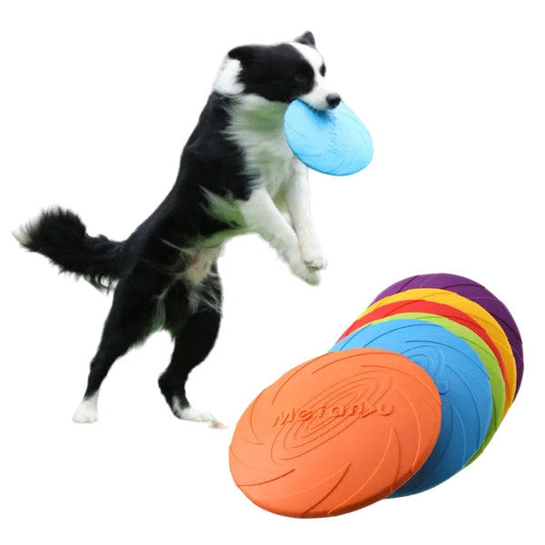 Chien jouant avec un frisbee ultra-résistant