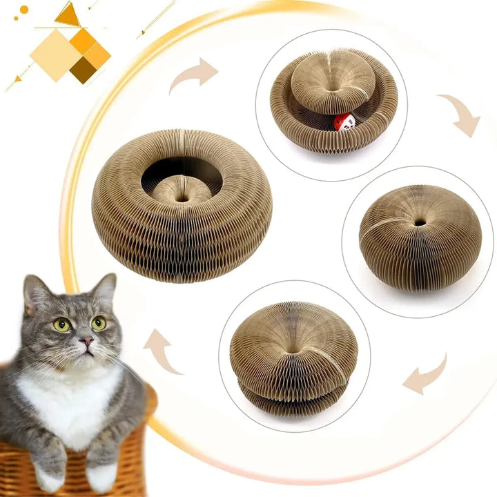 Différentes configurations du griffoir pliable pour chat, idéal pour varier le jeu