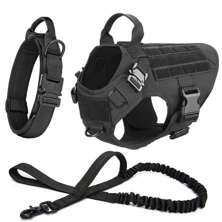 Ensemble harnais tactique noir pour chien avec accessoires et laisse