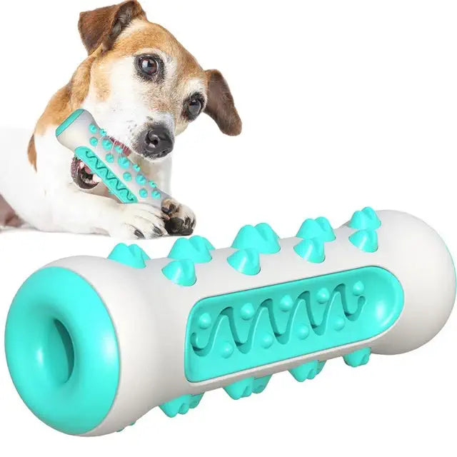 Jouet brosse à dents premium en turquoise pour chien, idéal nettoyage dentaire et mastication