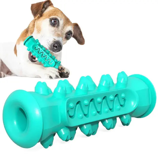 Jouet brosse à dents standard en turquoise pour chien, idéal nettoyage dentaire et mastication