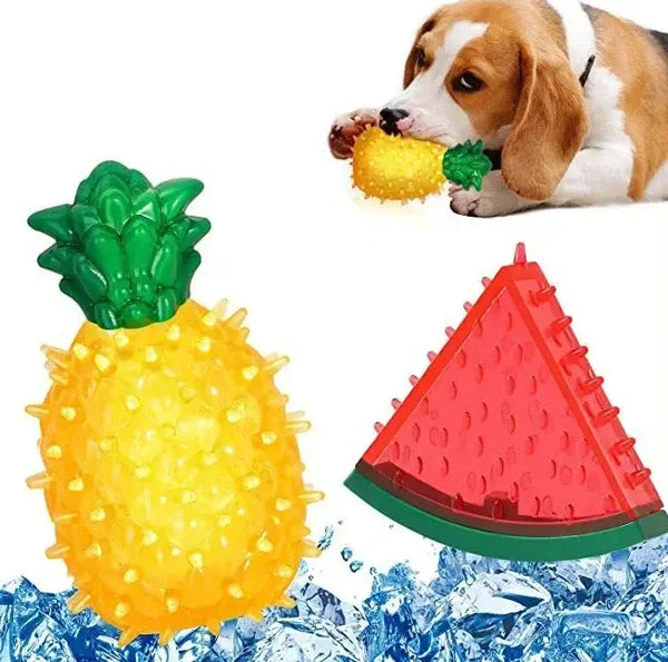 Chien jouant avec jouet à eau rafraîchissant en formes de pastèque, citron, et ananas