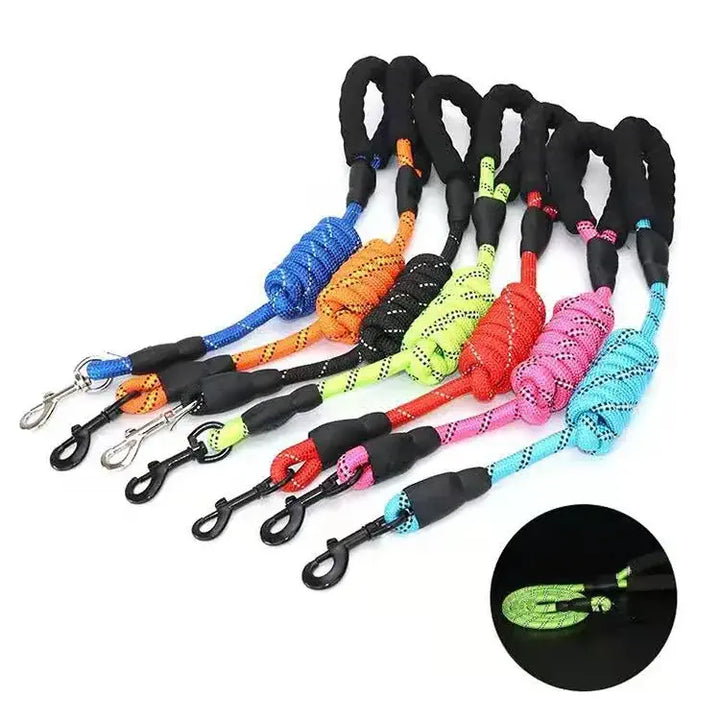 Laisse pour chiens en nylon disponible en bleu, orange, noir, vert, rouge, rose, adaptée pour la visibilité nocturne