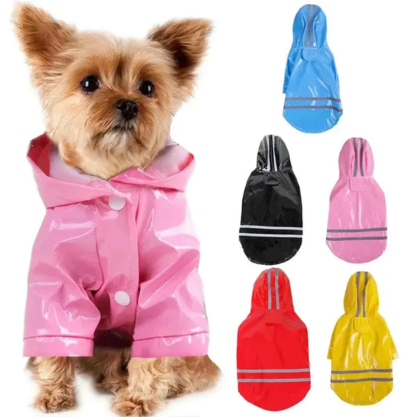 Petit caniche portant un manteau imperméable élégant pour chiens