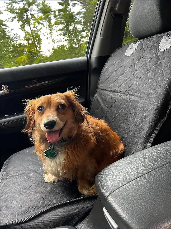 Petit chien sur une housse de siège de voiture, protection et confort pour chiens de petite taille