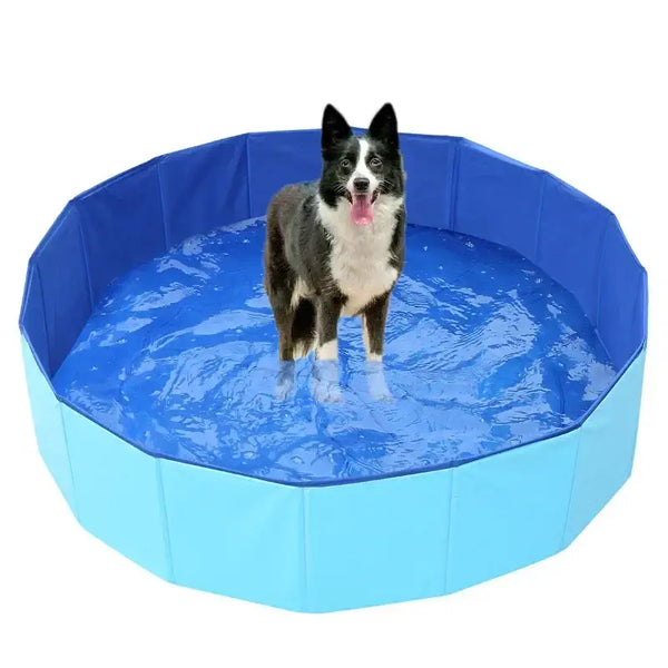 Piscine pliable de couleur bleue pour chien, pratique pour les chaudes journées d'été