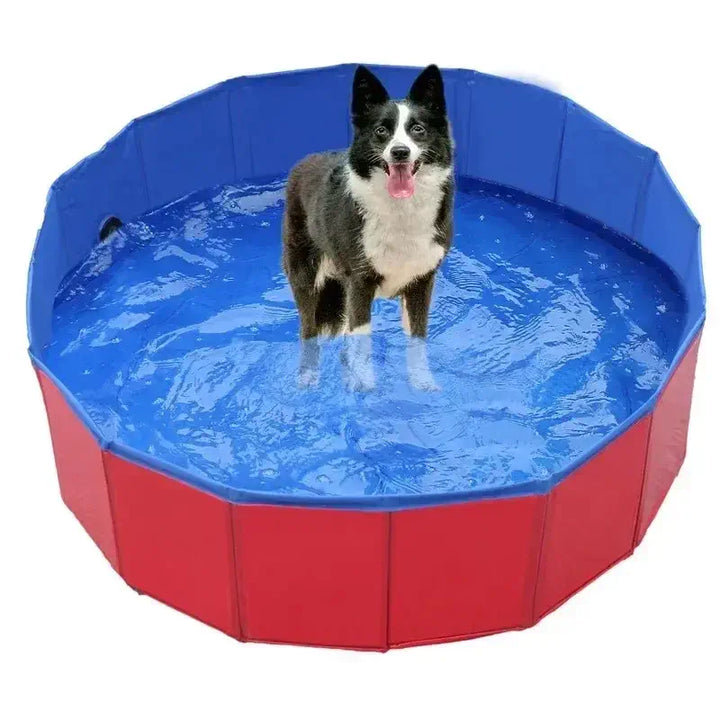 Piscine pliable de couleur rouge pour chien, pratique pour les chaudes journées d'été