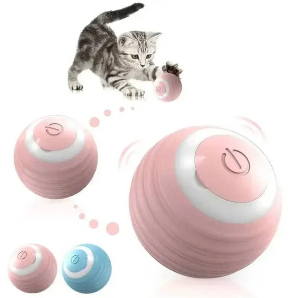 Balle interactive USB rechargeable pour chats en action