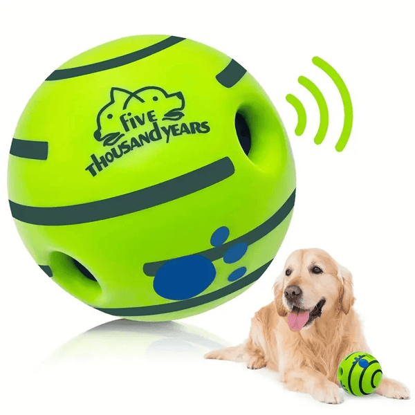 Vidéo de présentation du Ballon Sonore pour Chiens