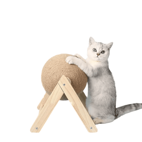 Démonstration de la boule à gratter en sisal pour chats