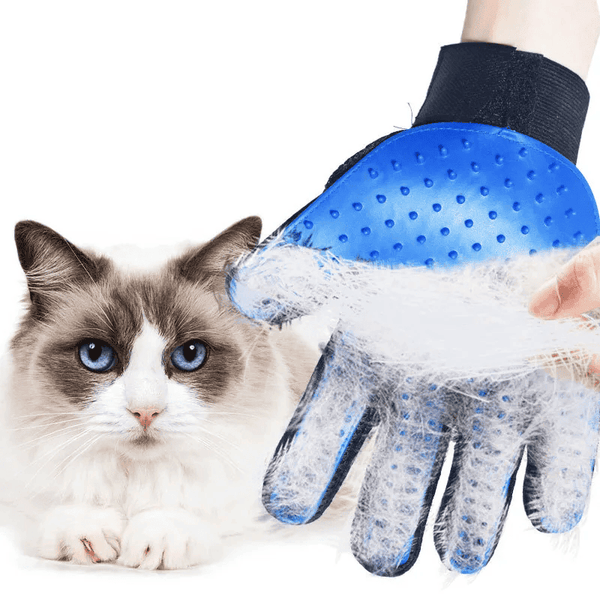 Gants de toilettage efficaces pour chat en action