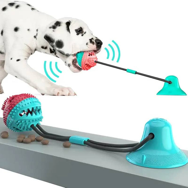 Chien jouant avec un jouet à mâcher avec ventouse, conçu pour la durabilité et l'interaction