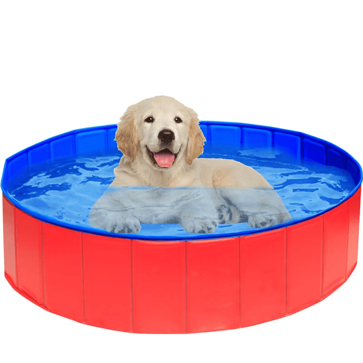 Vidéo démonstrative de la Piscine Pliable pour Chien, idéale pour les jours d'été chauds