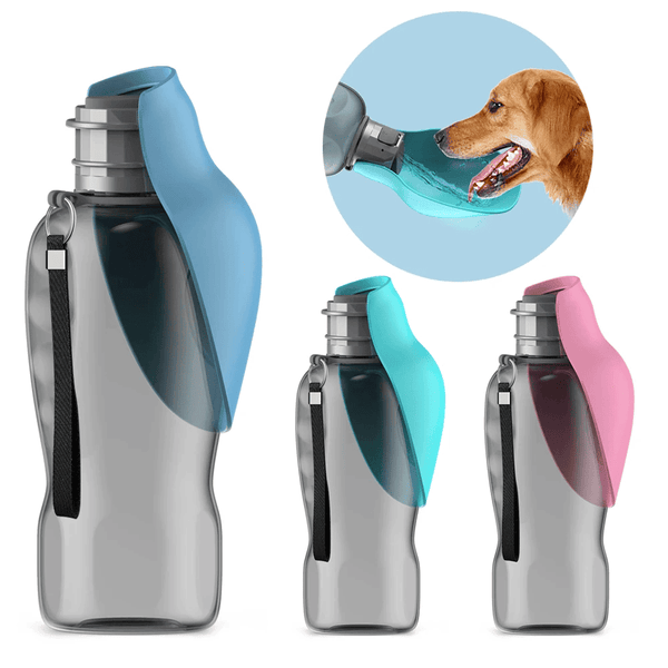 Vidéo de présentation de la bouteille d'eau portable 800ml pour chiens - Vert, Rose, Bleu