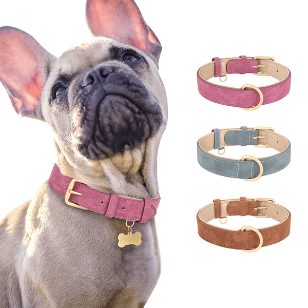 Vidéo de présentation du collier en cuir réglable pour chien - confort et style