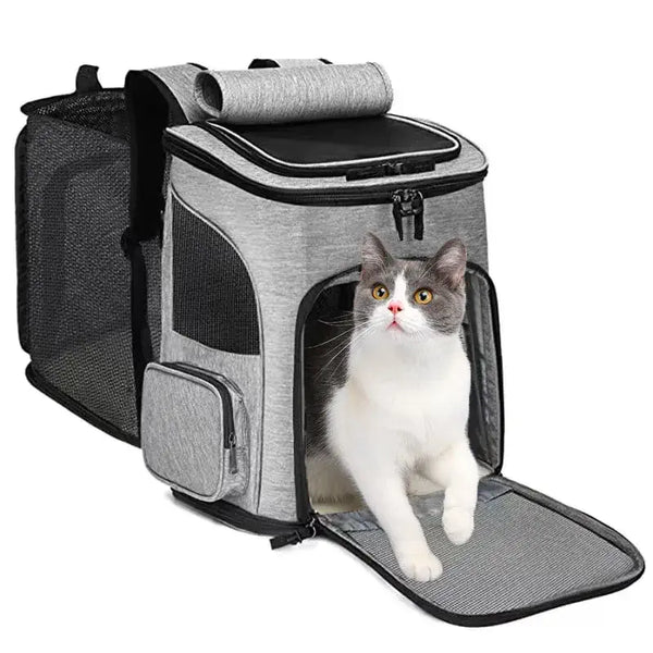 Chat dans un sac à dos extensible pour animaux de compagnie, respirant et portable