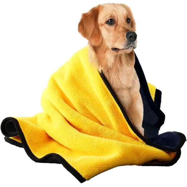 Golden Retriever utilisant une serviette ultra-absorbante pour chiens - idéale pour séchage rapide