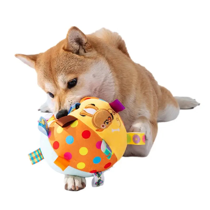 Shiba mord une balle en peluche sonore pour chiens