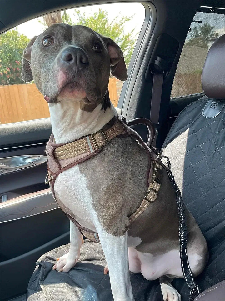 Staffordshire Bull Terrier confortablement installé sur une housse de siège de voiture pour chien