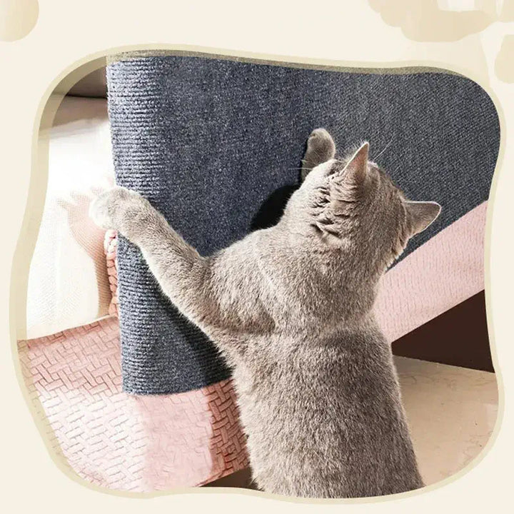 Chat gris utilisant un tapis à gratter pour protection de canapé et meubles