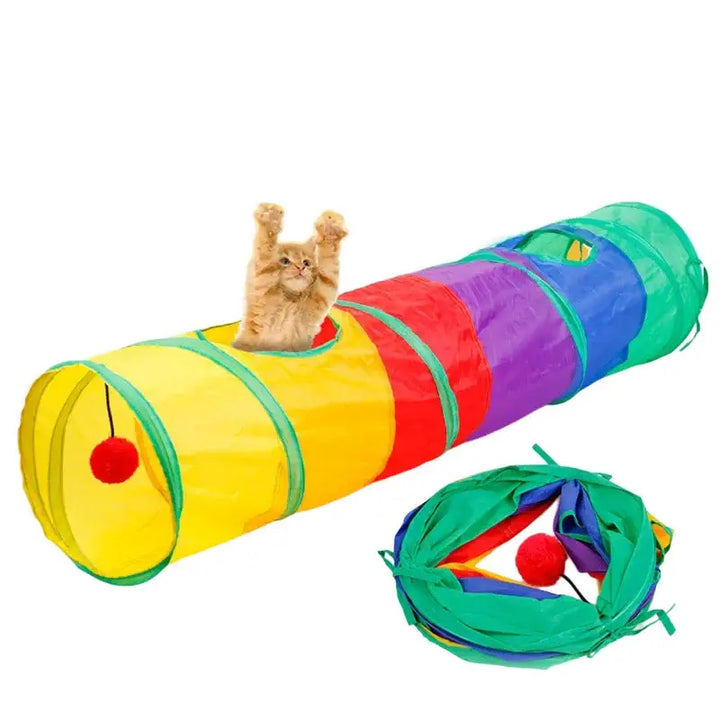 Tunnel de jeu coloré pour chat avec chat beige jouant à l'intérieur